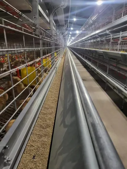 Abattoir de volaille à contrôle complet automatique traitant le système propre de poumon de machine d'abattage de poulet