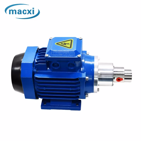 Pompe à engrenages à entraînement magnétique, pompe résistante à l'usure sans transmission d'impulsions, zéro fuite et résistance à la Corrosion